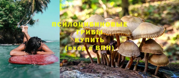 прущие грибы Аксай