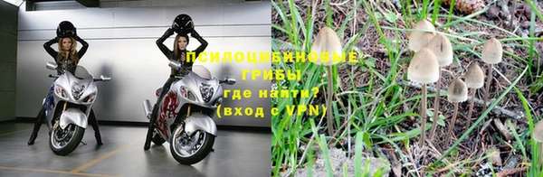 мяу мяу кристалл Лихославль