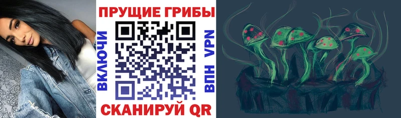 mega ONION  купить наркоту  Торопец  Галлюциногенные грибы Cubensis 